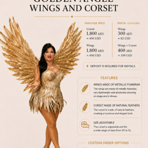 Golden Angel Wings and Corset rental by Nadia Art